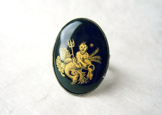 Aquarius Zodiac Ring, Zodiac Gifts, Age of Aquarius, Astrological Jewelry, Black Ring Vintage, January Birthstone, Gold-Etched Glass Cameo
