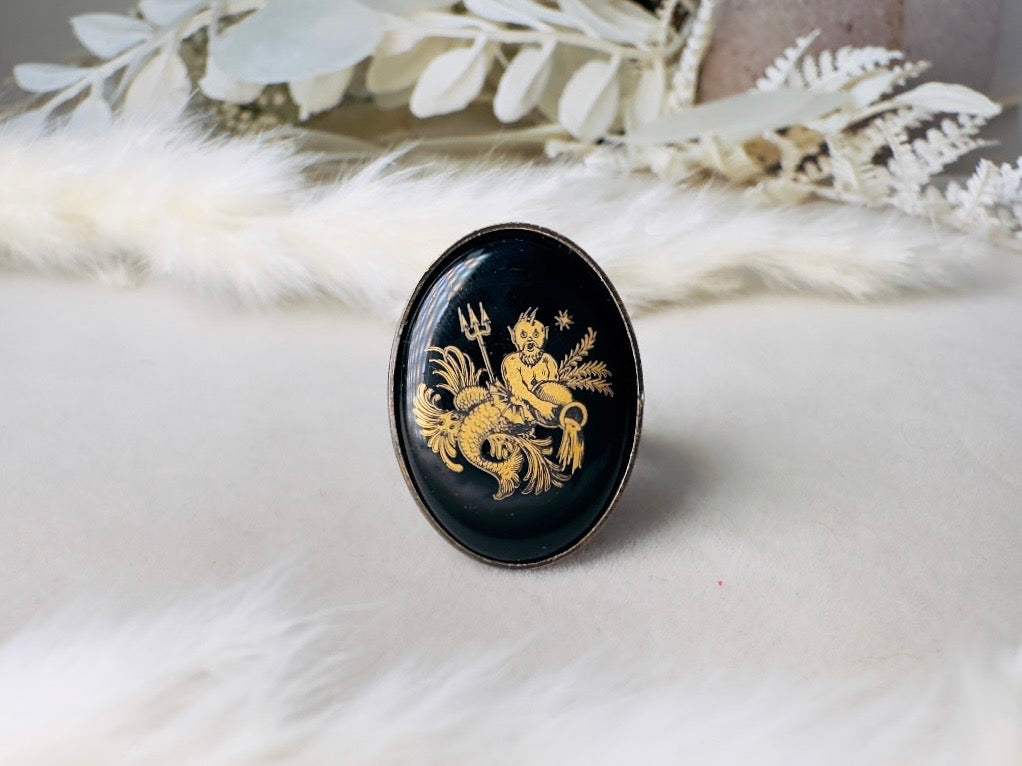 Aquarius Zodiac Ring, Celestial Vintage Astrology Ring with Black Glass Cameo with Gold Detail, Unisex Star Sign Adjustable Bronze Ring