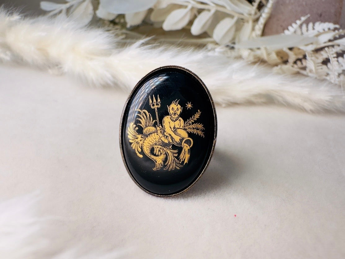 Aquarius Zodiac Ring, Celestial Vintage Astrology Ring with Black Glass Cameo with Gold Detail, Unisex Star Sign Adjustable Bronze Ring