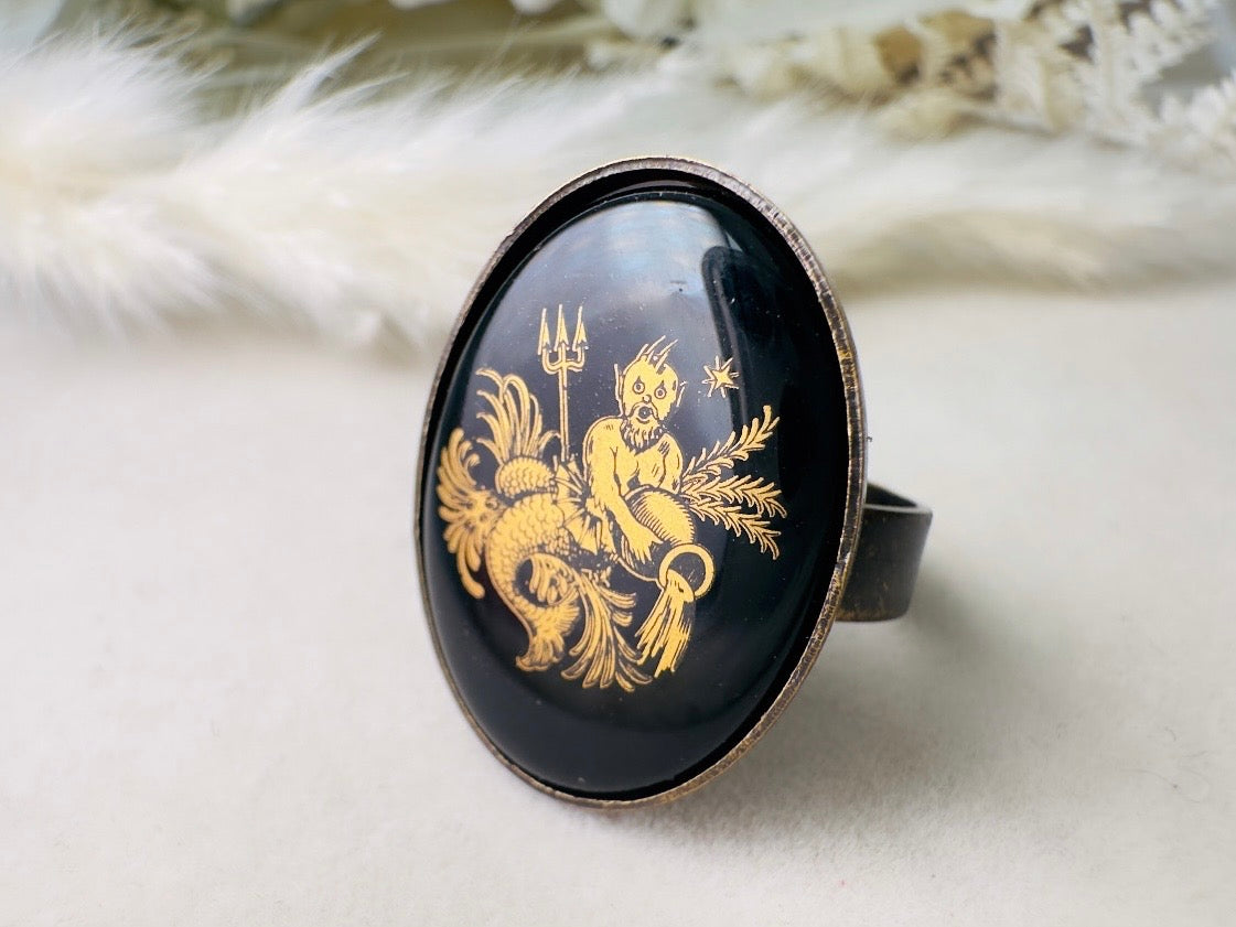 Aquarius Zodiac Ring, Celestial Vintage Astrology Ring with Black Glass Cameo with Gold Detail, Unisex Star Sign Adjustable Bronze Ring
