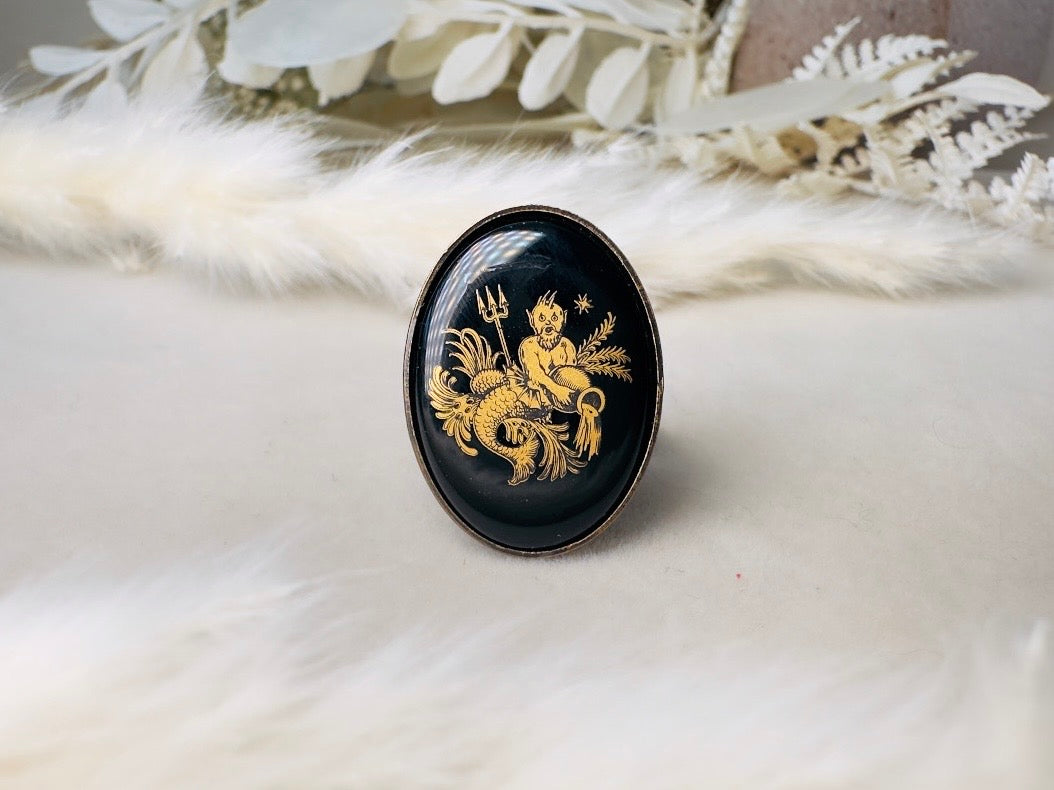 Aquarius Zodiac Ring, Celestial Vintage Astrology Ring with Black Glass Cameo with Gold Detail, Unisex Star Sign Adjustable Bronze Ring