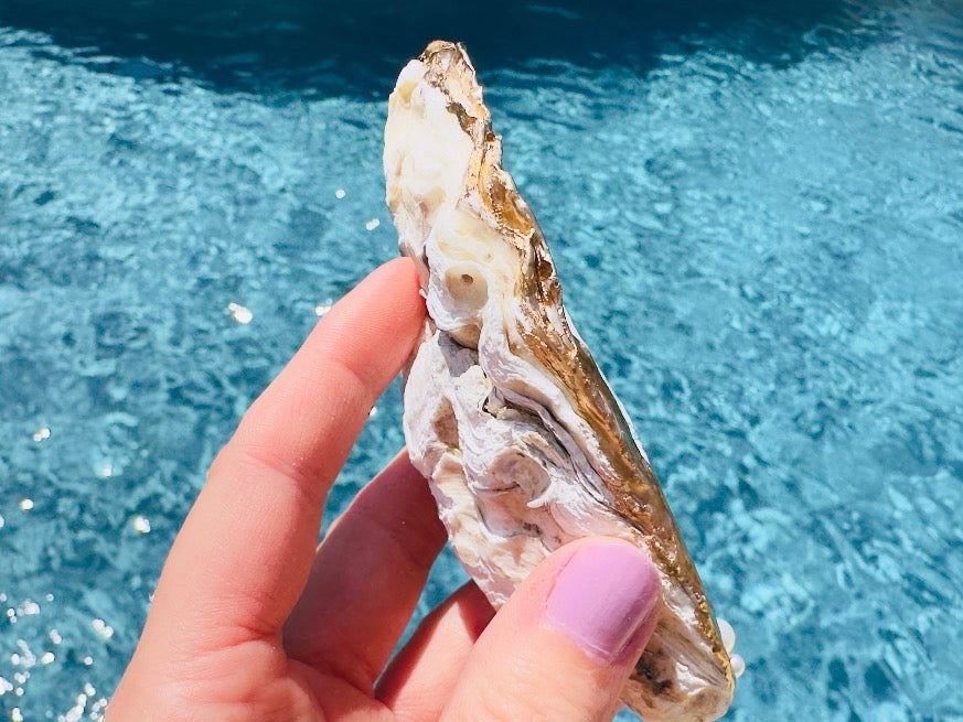Butterfly Oyster Shell Dishes, Handmade Bee Coastal Trinket Dish Jewelry Holder with Pearls