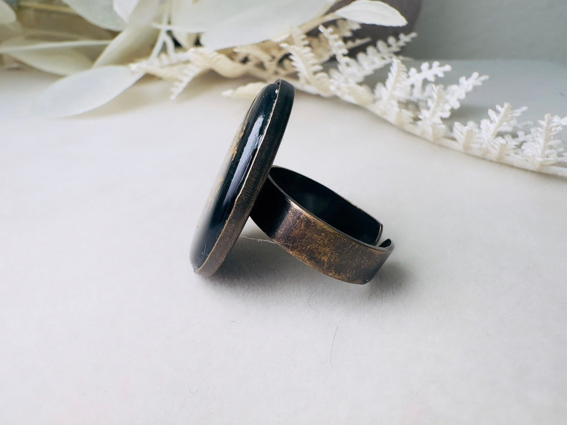 Pisces Zodiac Ring, Vintage Astrology Ring with Black Glass Cameo and Gold Leaf Detail, Unisex Star Sign Adjustable Antique Bronze Ring