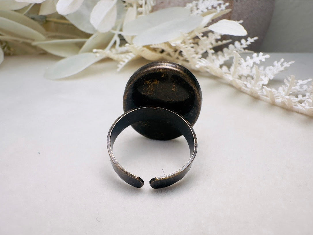 Pisces Zodiac Ring, Vintage Astrology Ring with Black Glass Cameo and Gold Leaf Detail, Unisex Star Sign Adjustable Antique Bronze Ring