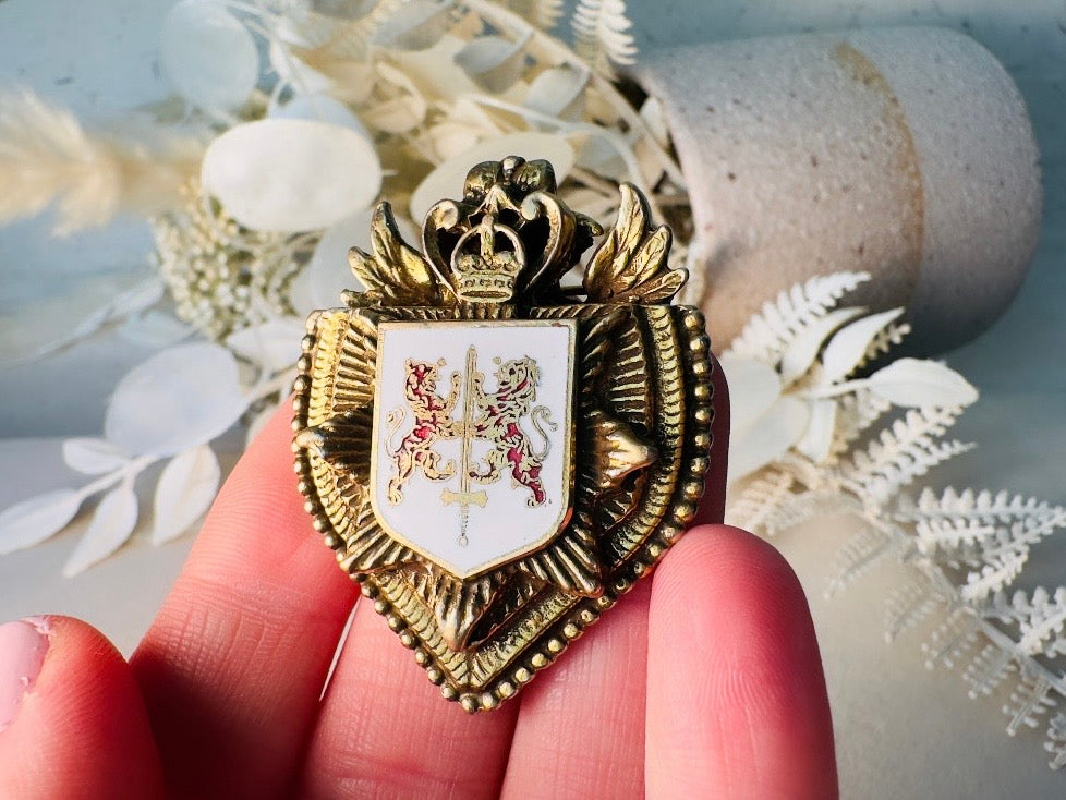 Vintage Heraldic Shield Brooch with Lions, Sword and Fleur De Lis