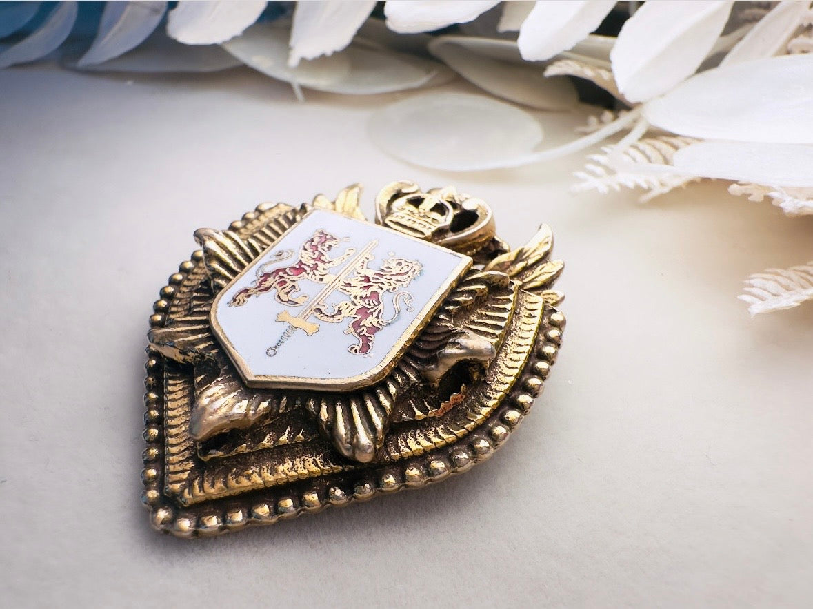 Vintage Heraldic Shield Brooch with Lions, Sword and Fleur De Lis