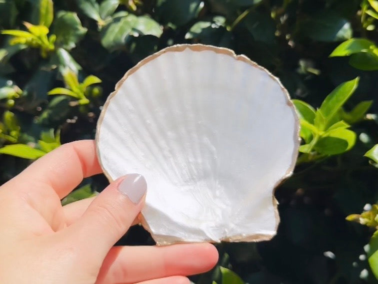 Woodland Shell Trinket Dish with Whimsical Leaf, Mushroom and Butterfly Decoupage, Handmade Coastal Jewelry Holder, Choose Your Pattern