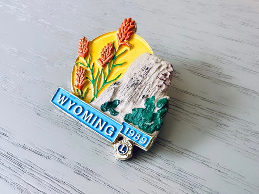Vintage Wyoming Brooch, Colorful Ceramic Tourism Souvenir Lapel Pin, 1989 Wyoming Park American Keepsake, Unique Birthday Traveler's